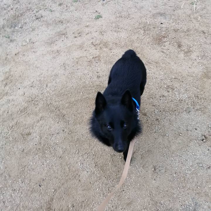 5846a470 83ed 4bab a767 60371f358a2c 1605651124978