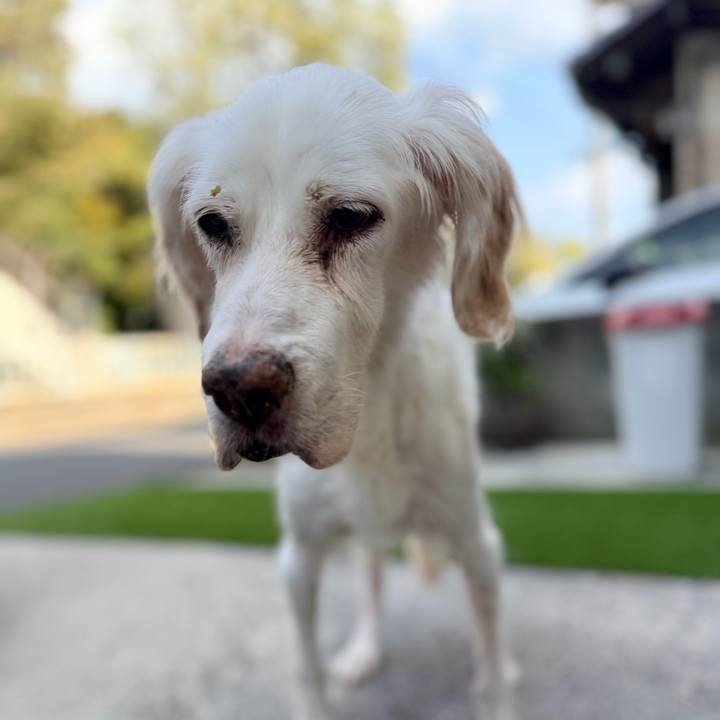 5846b9c9 a068 4783 935a ffd4047614fc 1761632896056