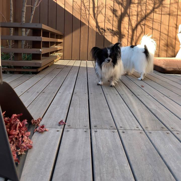 5846c558 1f31 445c 84b2 4d6f62455fbc 1547438278701