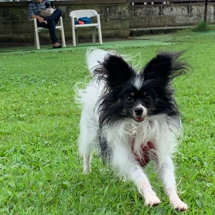 5846ca50 5978 4ebf a9b8 23e46d3a3f30 1566547262574