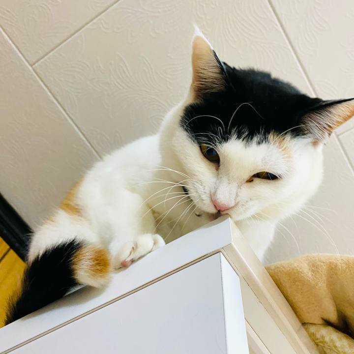 5846db8a 992c 4844 b0c3 1dac048dc0ad 1676461502070