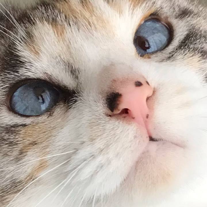 58471e64 67a3 4ed0 841a 35e359f2f345 1553946532879