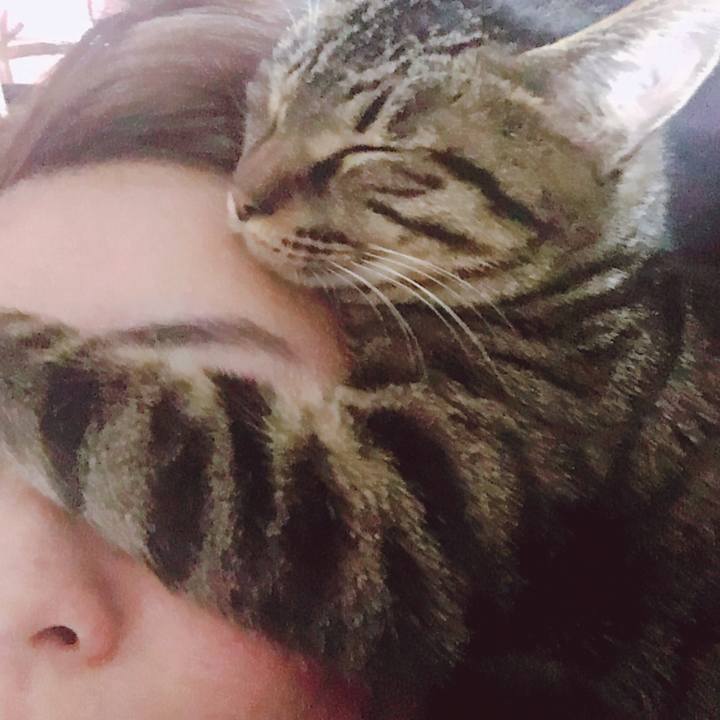 58471ef4 c1e7 42b3 a273 c0176d1acb39 1552026584660