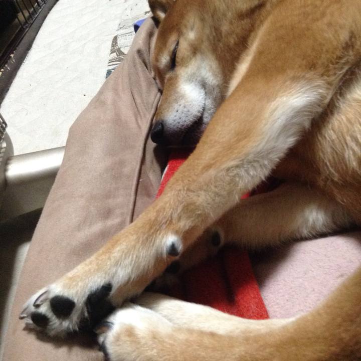 5847285f 310d 4899 997f 4f827f888ba6 1516540702125