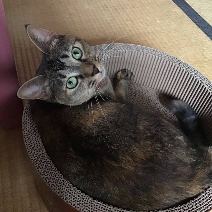 58473f88 5d8f 48e0 9018 2621cfccce97 1599953268860