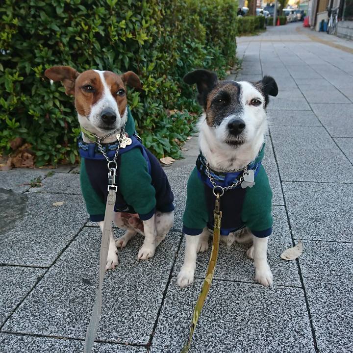 5847439a 2f25 425c 8a88 4bdb1922593e 1606514443129