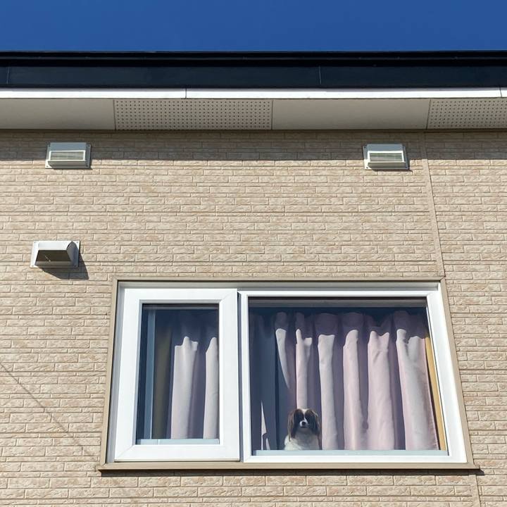 5847557a d988 436d a898 9701abb4d866 1678501236029