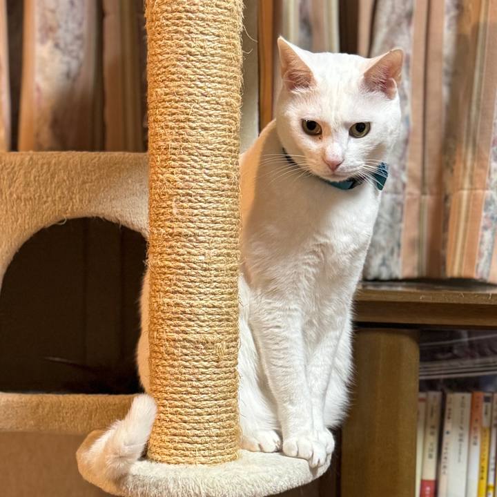 58476da5 ca6f 4090 82c4 b2f0891316f6 1765373195740