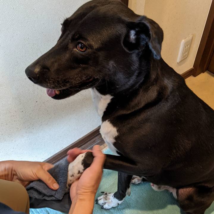 5847a53e 59ee 4839 9add 8137d2e7d4bf 1631493658856