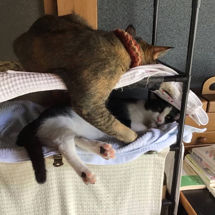 5847b2c6 9681 4b46 ad3a 5dc2d0ceb8b2 1630895416455