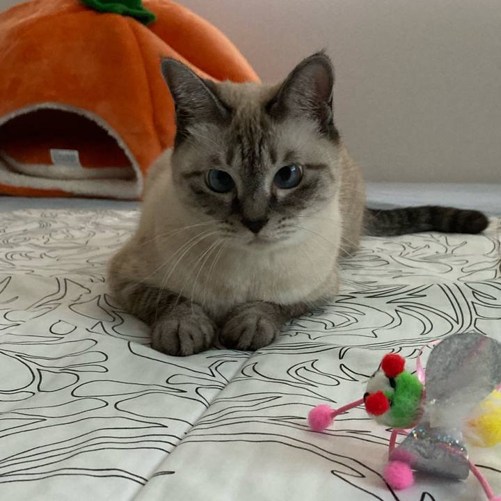 5847beb3 12ba 4c7b 9e00 f925312064fb 1631930495177