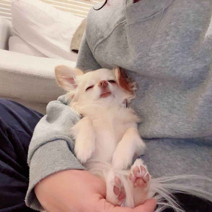 5847df0b 5a4b 4e23 910f e95c1ca27ca2 1712061047356