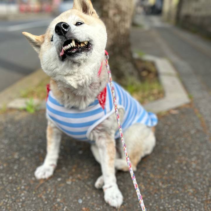 5848435c 549e 408e b009 9fc40cf06cb7 1746953707135