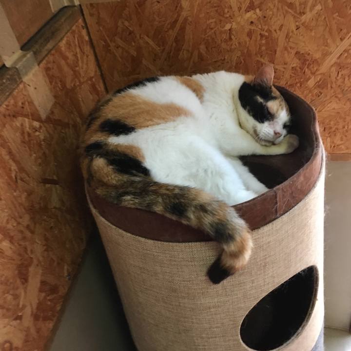 58485319 4682 4e70 8b9c 49aefe2afe93 1562414197478