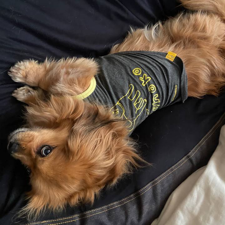 584866f8 1335 41ac 89b8 14018a7bea46 1650404083161