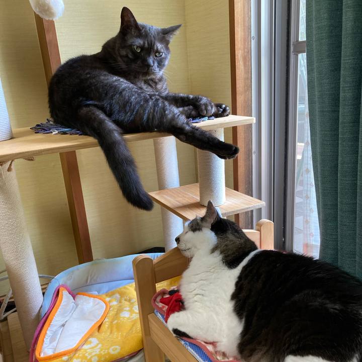 584869eb 7c3a 428b 8cd7 bac699090db1 1716258480013