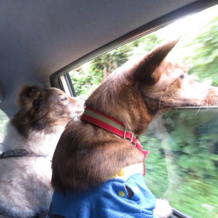 58487d08 4841 4ef0 9195 3efa76f1c98b 1591254543181