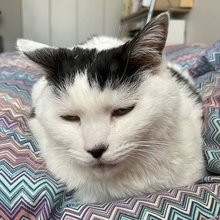 5848a632 a5fd 4bc4 89ea dc82ac45c2f4 1673053679574