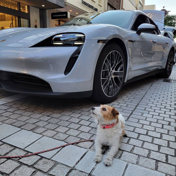 5848ca6a fd4f 4d8f aecb 8e646ed2c4cc 1715435786641