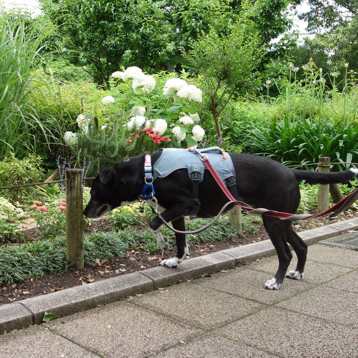 5848d49c 8953 411e ad6d c6032548bc6e 1750032665050