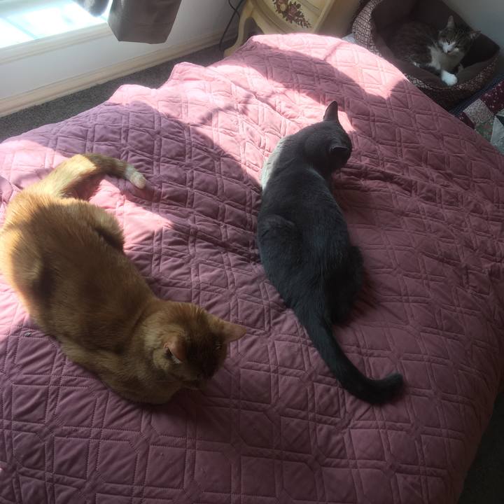 5848e566 cfc8 49cd be6c 1eb8d8859d82 1650503811669