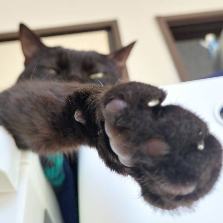 5848e71f 912a 43ea 8db0 c158b6b9c440 1675465619194