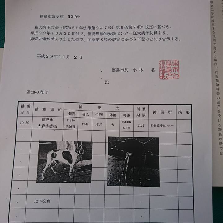 584923a3 3964 49ef af32 6772c0c1a394 1509658182668