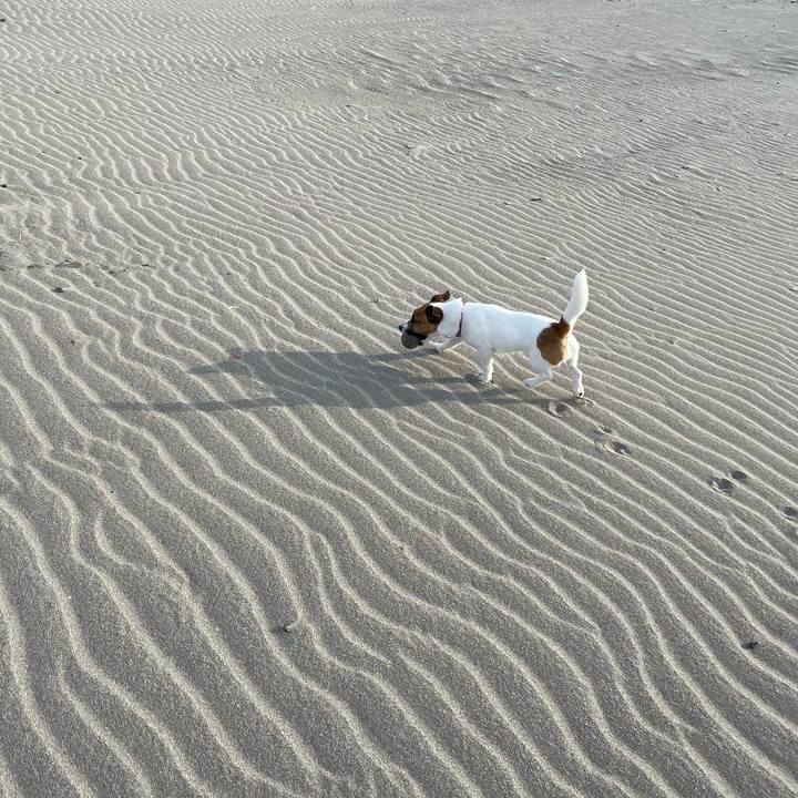 58495fde d9a1 4432 93b9 2c5e0902b9da 1647475673144