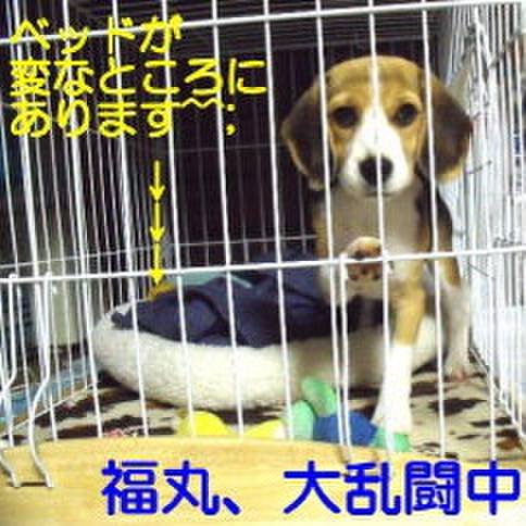 58497aad 94b5 4ede abfd 949288e21f23 1676503561755