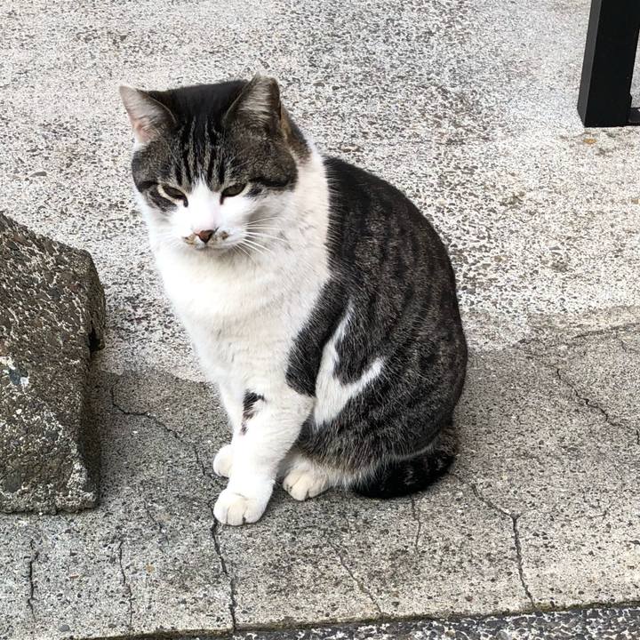 58499b0a a57c 4ba1 840f 3dc9017b4b2b 1521070152340