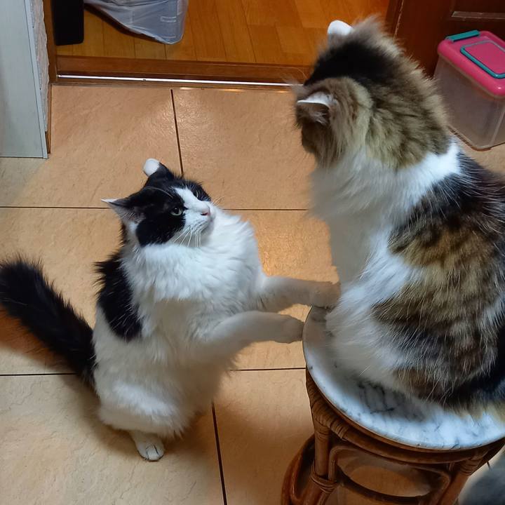 58499b4d 3fc6 447f 97f0 a633894635e7 1621687434420