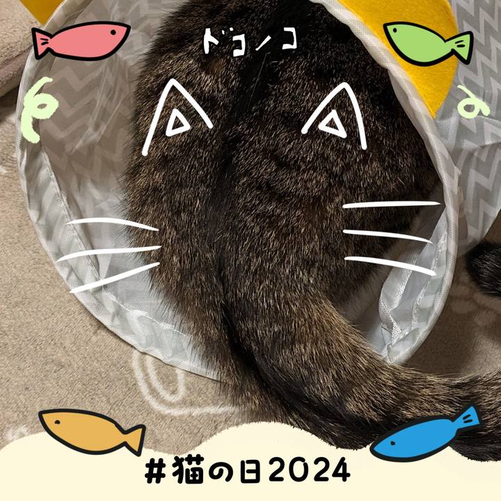 5849d0d5 a9d9 4199 90c3 67f132eb6701 1708606799750