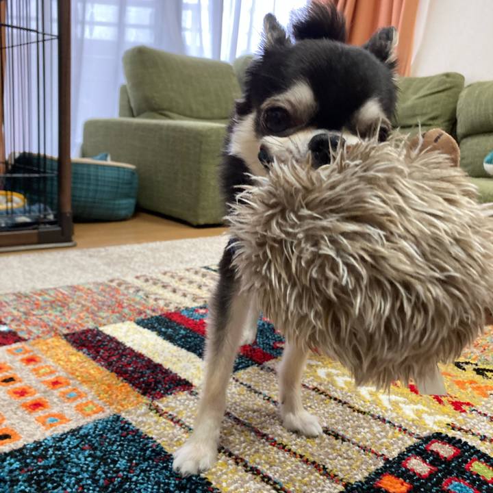 5849e0fd b48c 4edc 9185 fb6ad01bf34b 1682142072460