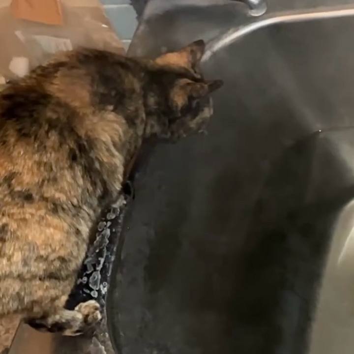 5849f729 c79f 44f7 92d6 a2beb43e5c07 1738957098605