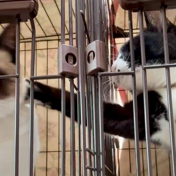 584a0e86 18c6 4900 b315 bffc5498ba4c 1751505947679