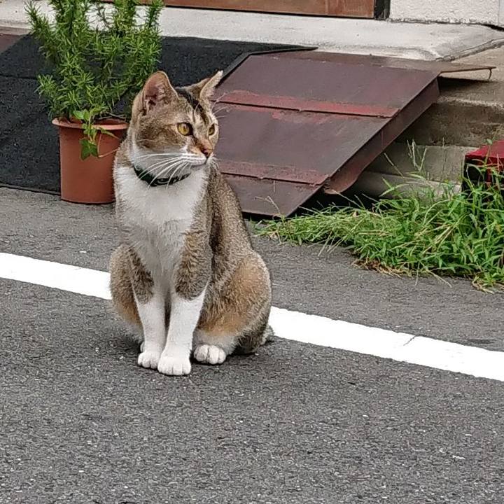 584a1a27 0a1a 4053 8b51 63b37b37d10d 1535411914753