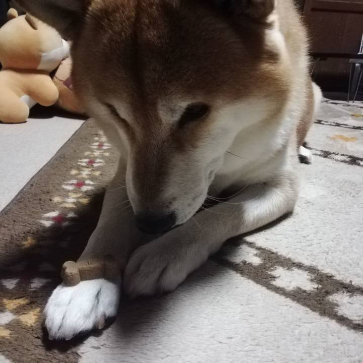 584a2387 d0b9 410a 87c7 7f9c99ea2137 1606809185437