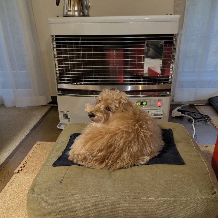 584a7a95 45bc 49b7 9b25 70614e32f6cc 1760388089723