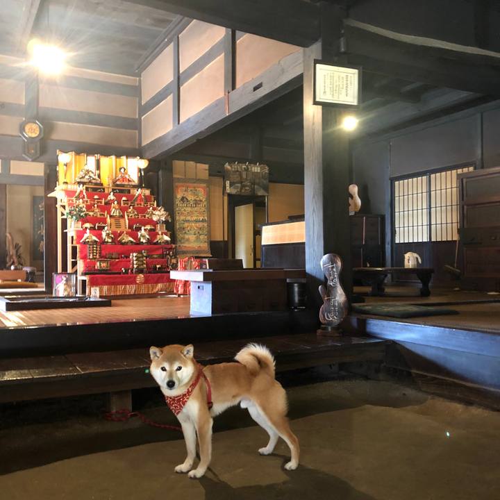 584a7f8b f590 4565 92ec 3c0c72464e17 1551615871417