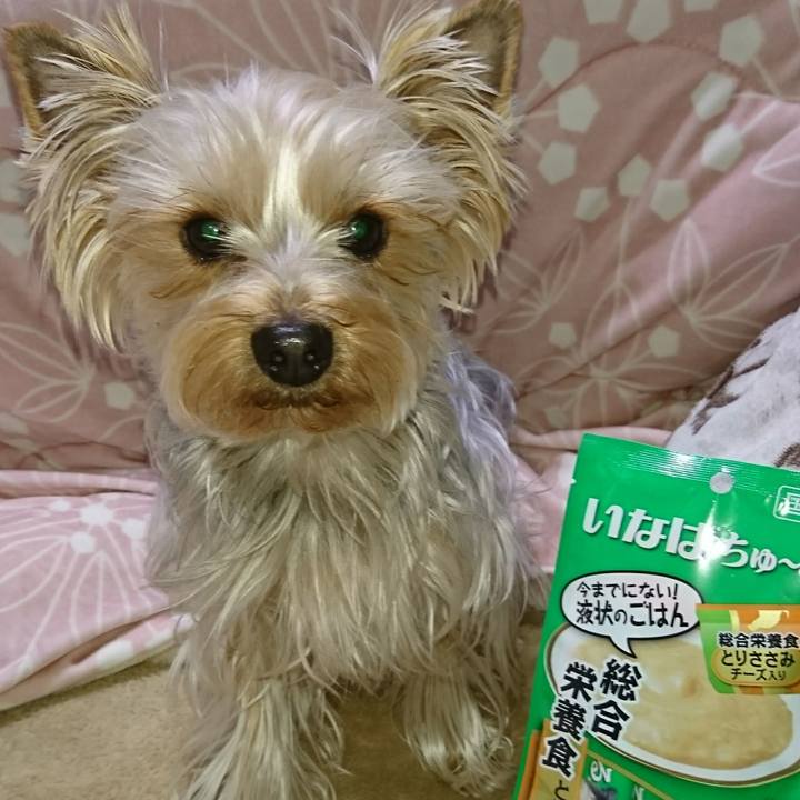 584aa2a9 6505 47cd a5e7 dd705e1d4c8f 1521185048917