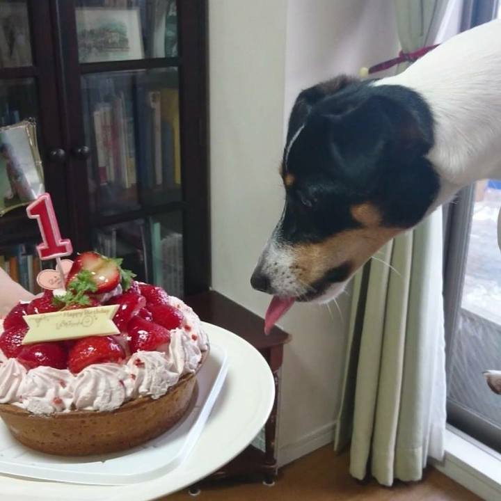 584ac97f 87e8 4385 bb1c 426a7edc3fb4 1534292664870