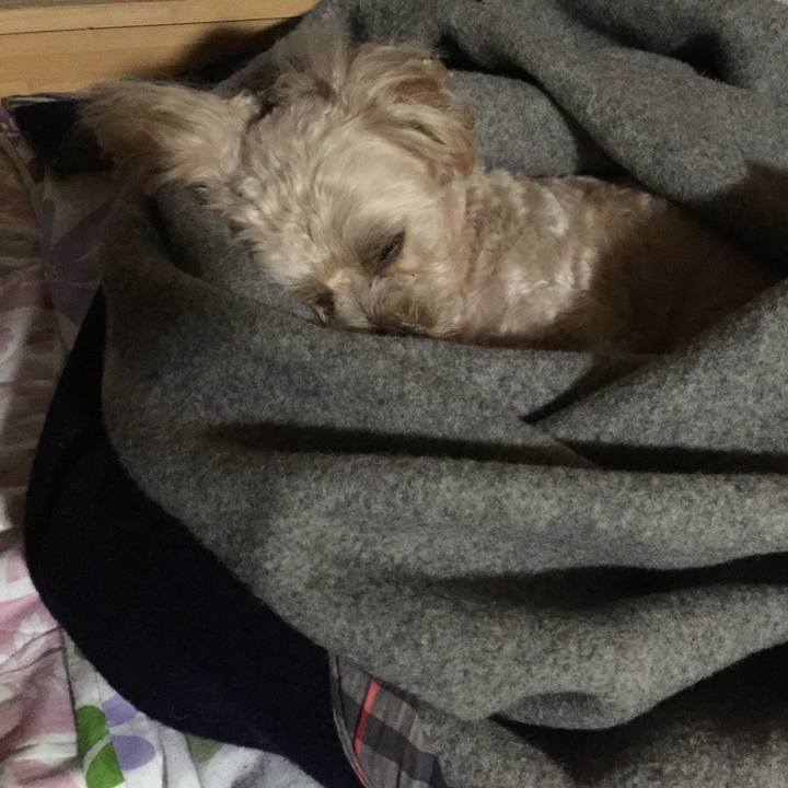 584acd5d a7c7 4a7b a7e1 deef86d6a98f 1572779174348