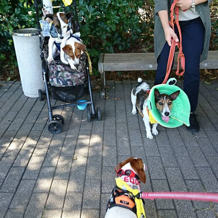 584af79f efc7 40c6 bc83 076bf35f45c1 1538899221531