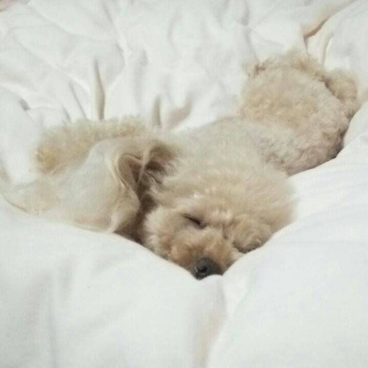 584af7d8 1bf6 48b5 8056 108ec524d57b 1537794500170