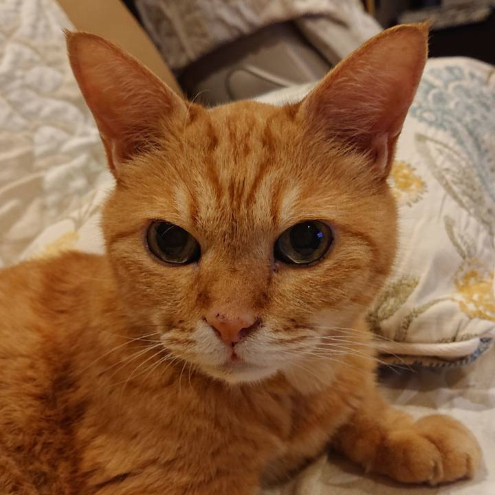 584b1ebe 2b9f 444d b6da dc0d433132c1 1662032227625