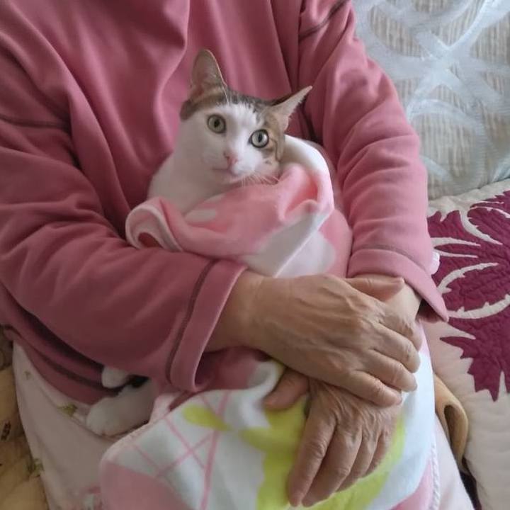 584b506d 835c 4880 8f56 bbde1b13fb31 1742873978128