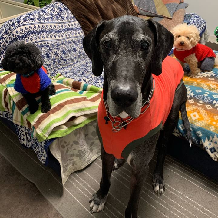 584b52a4 a765 4b08 a3d6 e230d14d340f 1581546939560