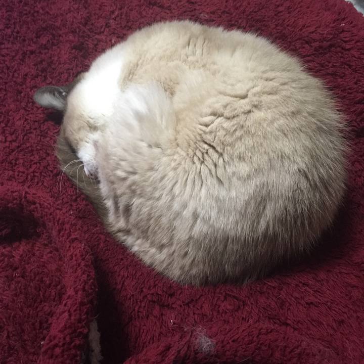 584b741c 7953 427e 8a5d 778619cff8b9 1520519176108