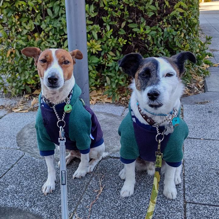 584b854f 4967 4f96 ba87 3533927d9353 1672550441029