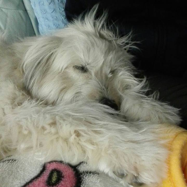 584ba095 bb60 4145 b07b b52c942ad304 1515638144156